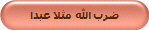 ضرب الله مثلا عبدا